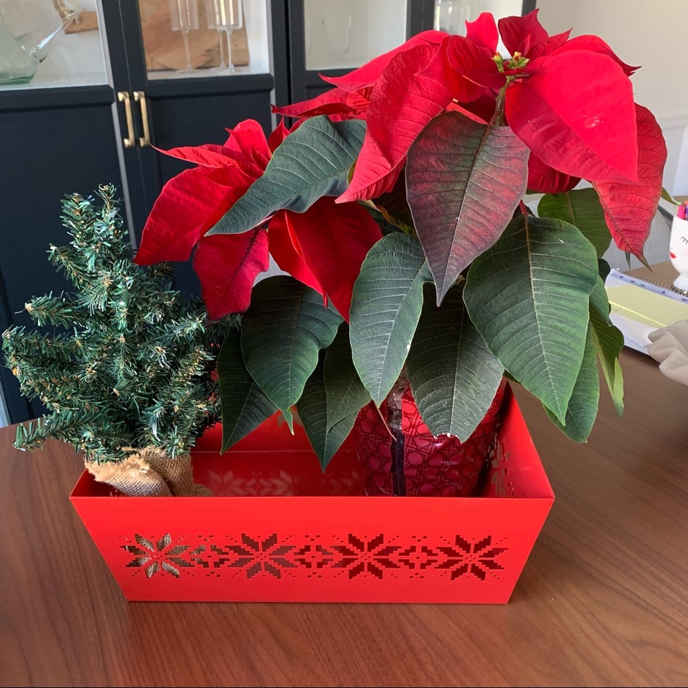 Red Metal Holiday Tin